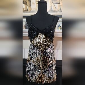 Sequin Fringe Dress